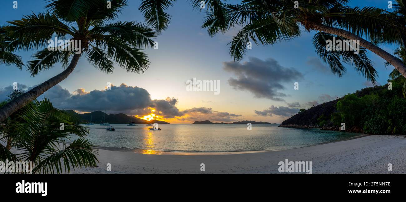 Palmier sur la plage au coucher du soleil sur l'île de Praslin, panorama des Seychelles Banque D'Images