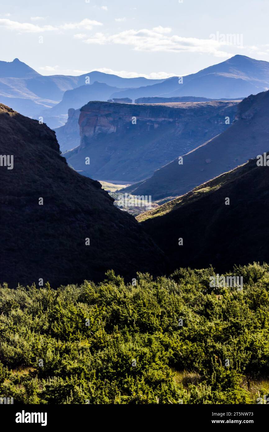 Vue sur une vallée dans le Golden Gate Highlands National Park, avec les majestueuses montagnes Drakensberg bleues en arrière-plan. Banque D'Images