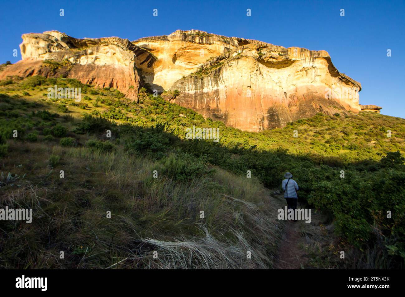 Un seul randonneur sur un sentier avec les majestueuses falaises de grès doré et ocre du rocher Mushroom, Golden Gate Banque D'Images