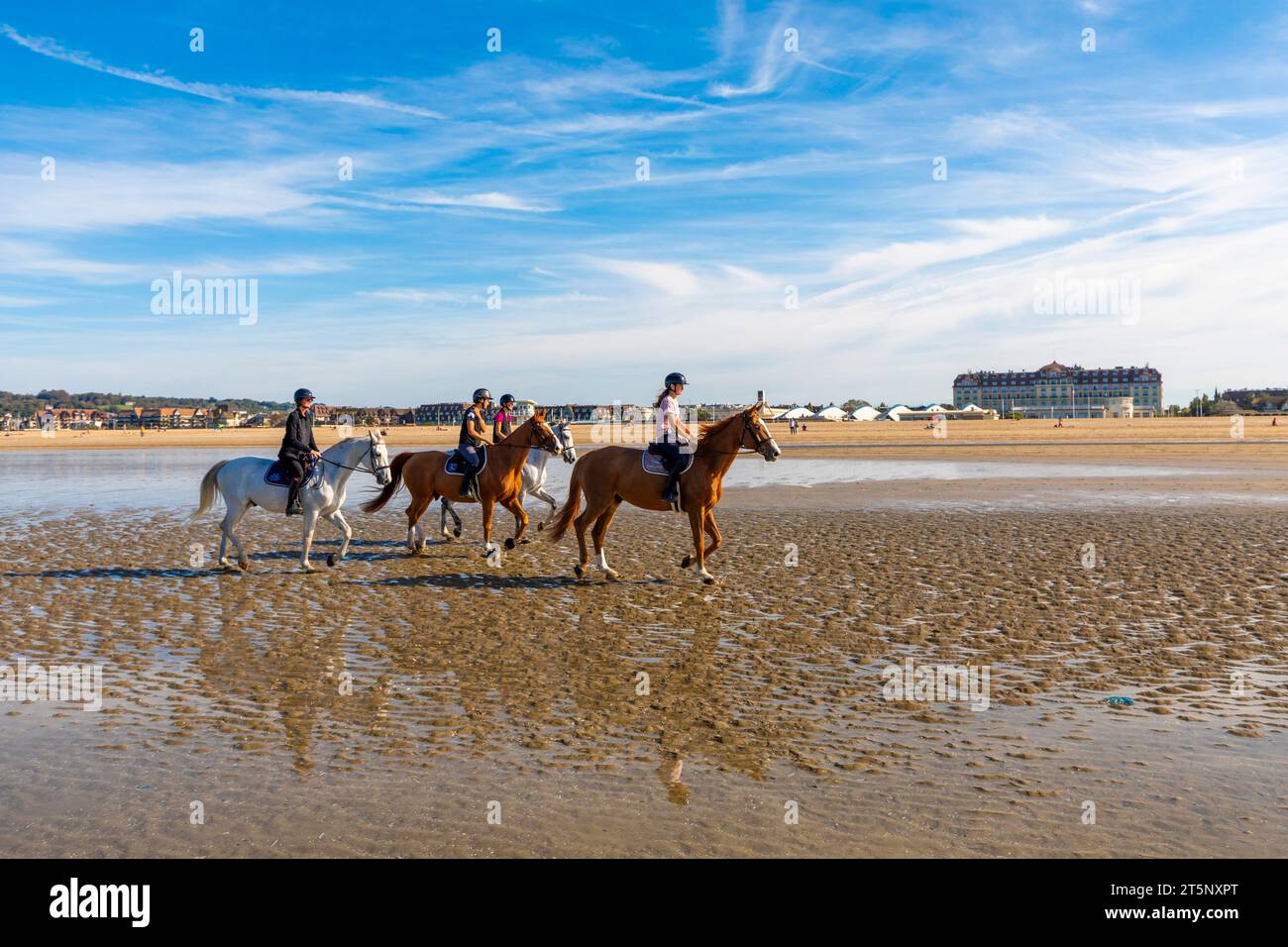 Chevaux à cheval sur la plage de Deauville, Deauville, Normandie, France, Europe du Nord-Ouest Banque D'Images