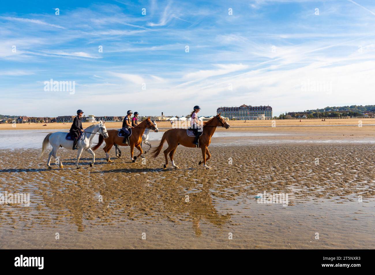 Chevaux à cheval sur la plage de Deauville, Deauville, Normandie, France, Europe du Nord-Ouest Banque D'Images