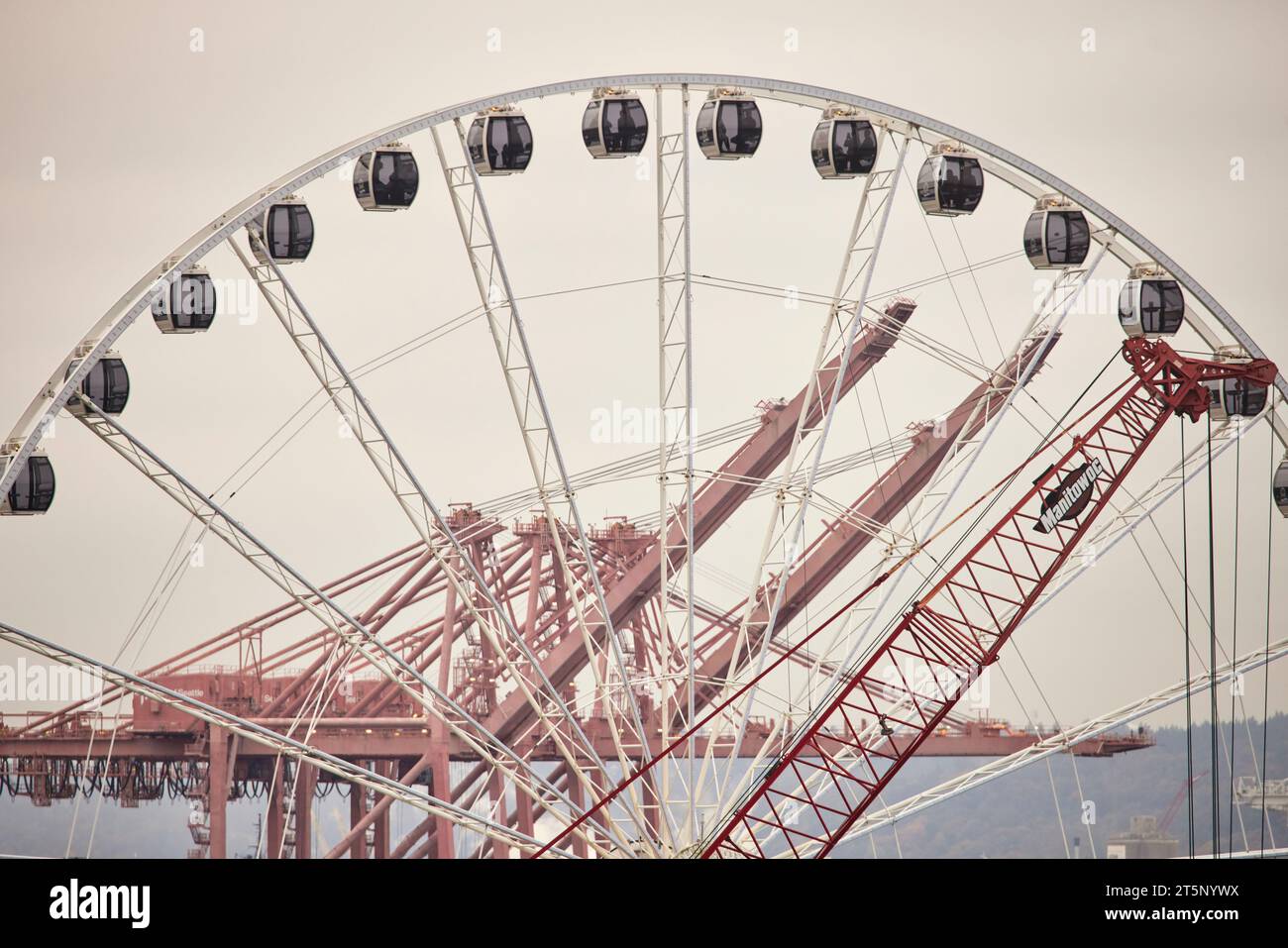 La grande roue de Seattle, sur la jetée Seattle, Washington, États-Unis Banque D'Images