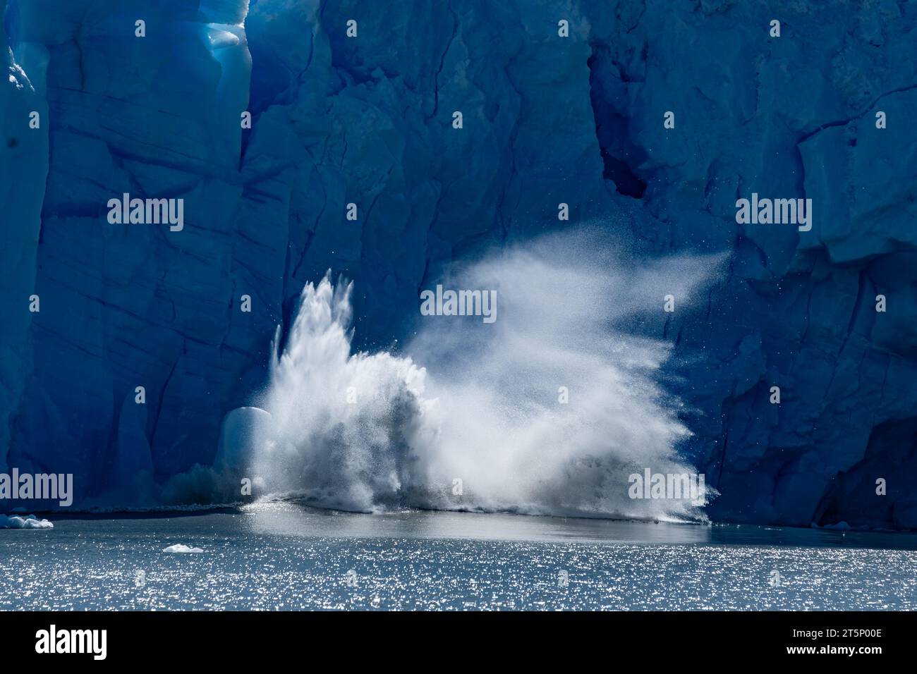 Un gros morceau de glace tombe du glacier Perito Moreno, en Argentine Banque D'Images