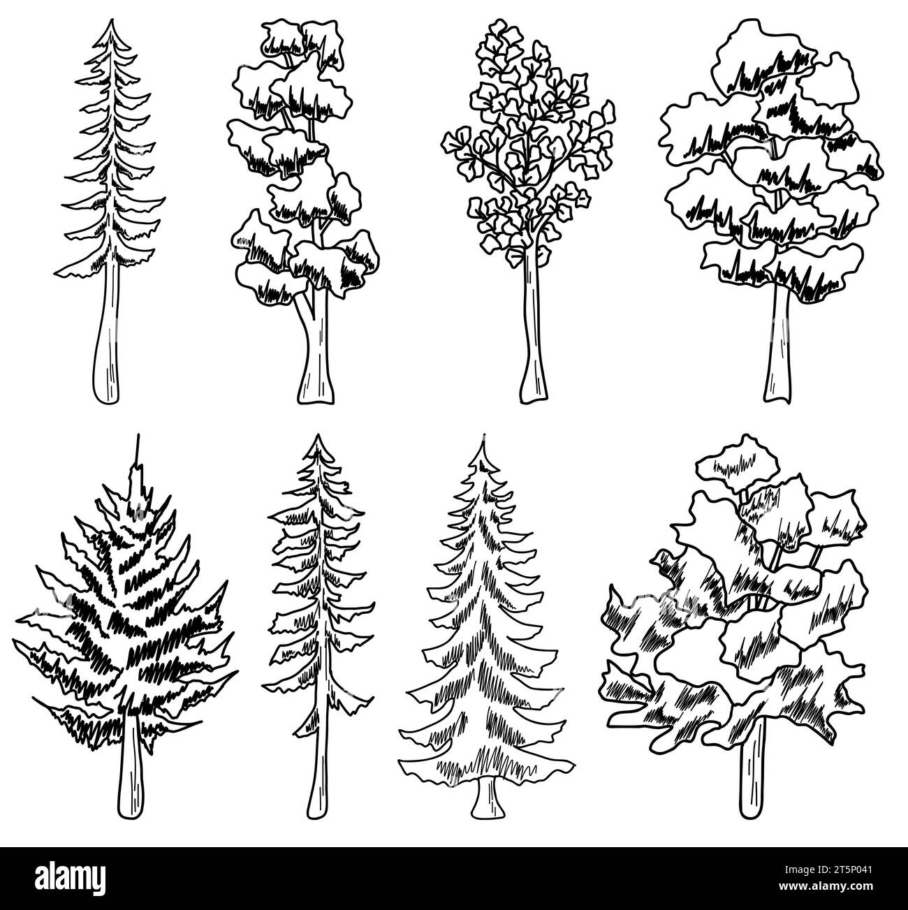Ligne Forest Tree. ensemble d'arbres graphiques éléments de contour symbole pour l'architecture et le dessin de conception de paysage. Banque D'Images