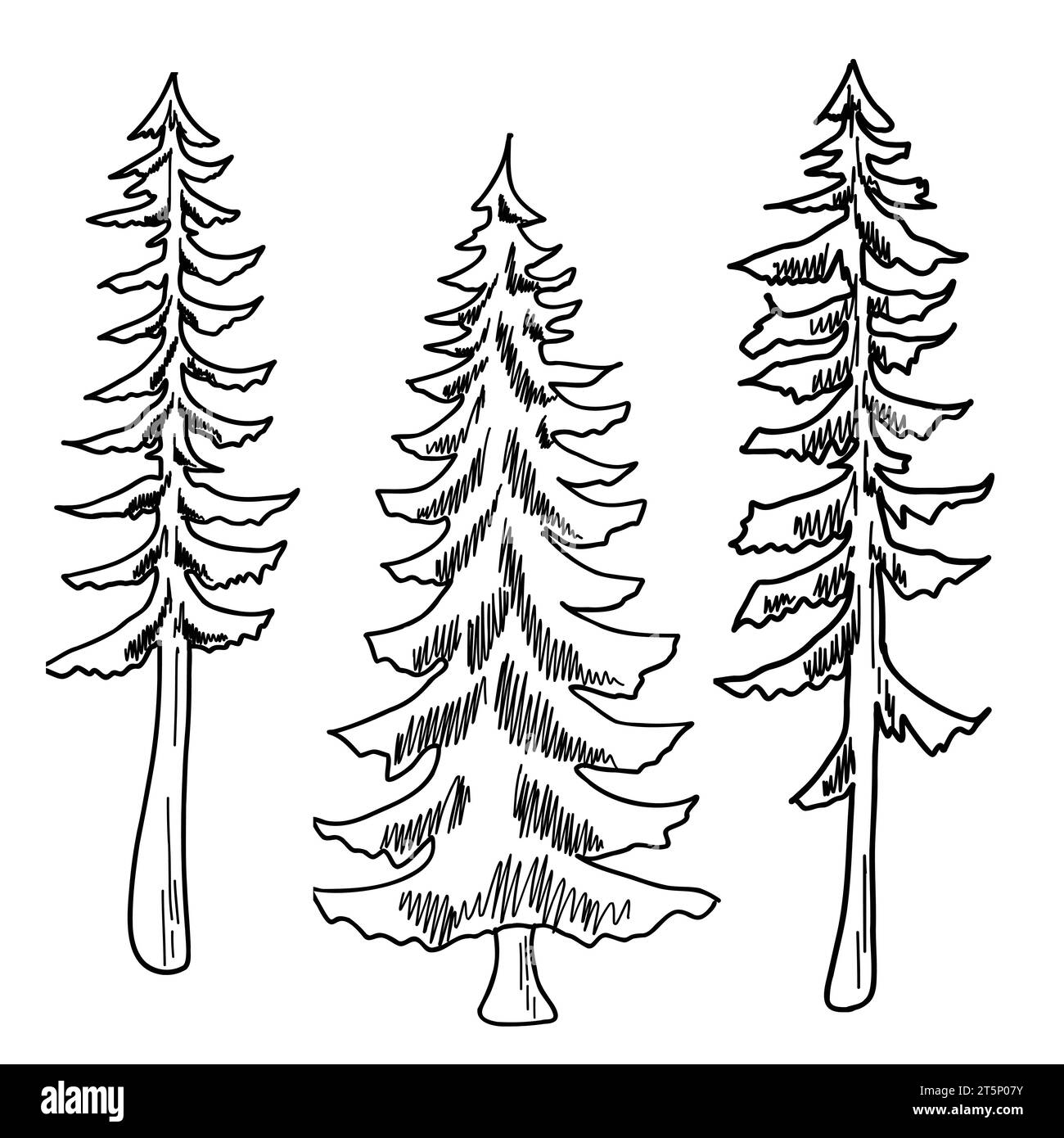 Ligne Forest Tree. ensemble d'arbres graphiques éléments de contour symbole pour l'architecture et le dessin de conception de paysage. Illustration vectorielle. Illustration de Vecteur