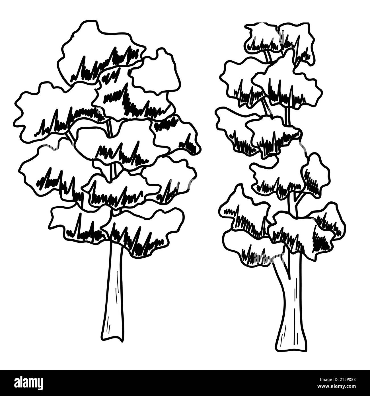 Ligne Forest Tree. ensemble d'arbres graphiques éléments de contour symbole pour l'architecture et le dessin de conception de paysage. Illustration vectorielle. Illustration de Vecteur