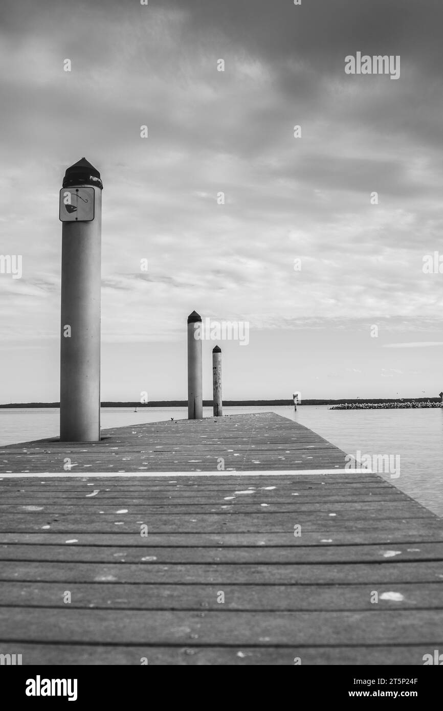 Une échelle de gris d'un quai tranquille avec des poteaux en bois sur un lac Banque D'Images