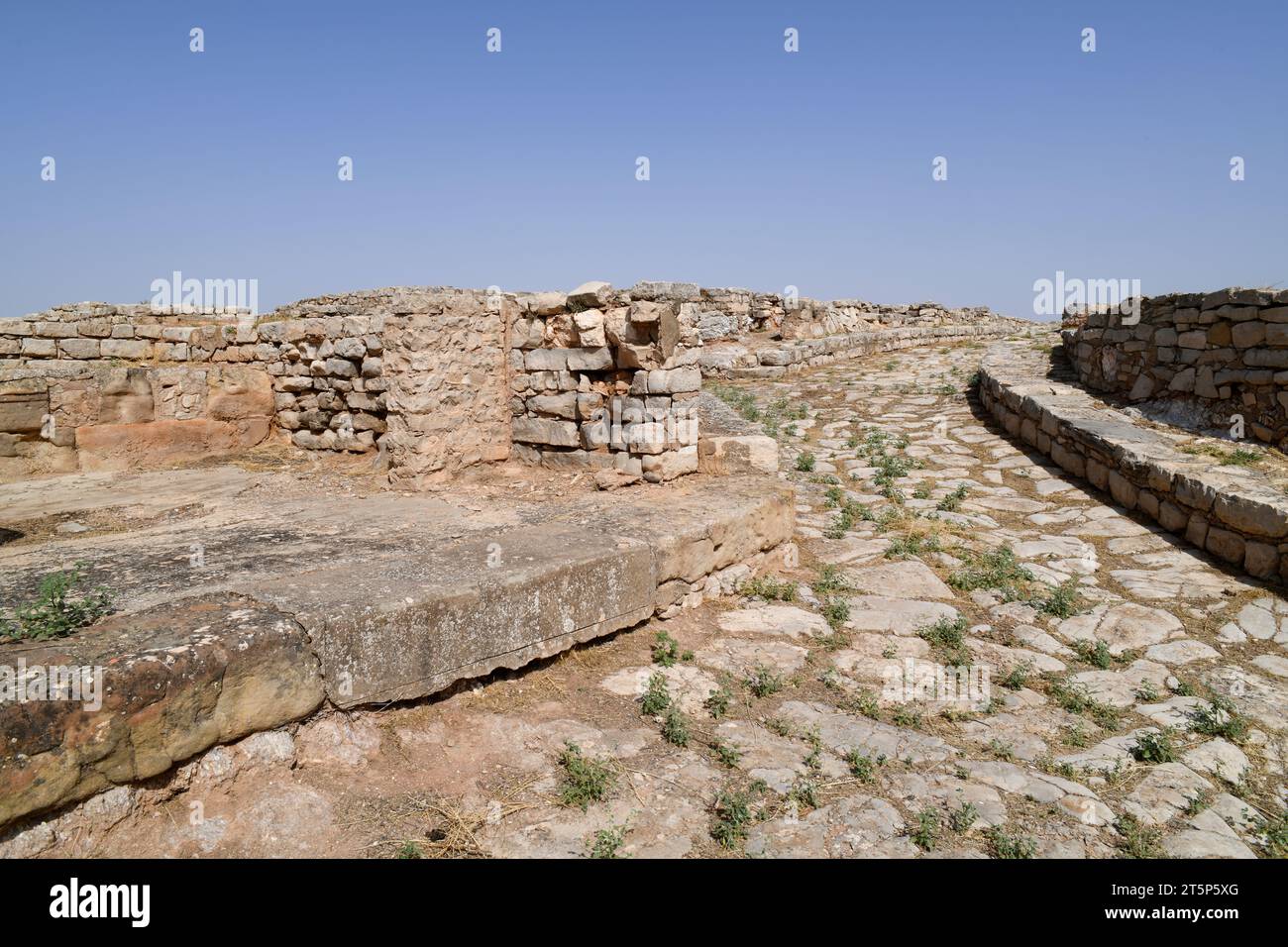 Azaila, Poblado Ibero del Cabezo de Alcala (Monumento Historico-Artistico).Temple (à gauche) et rue.Bajo Martin, Teruel, Aragon, Espagne. Banque D'Images