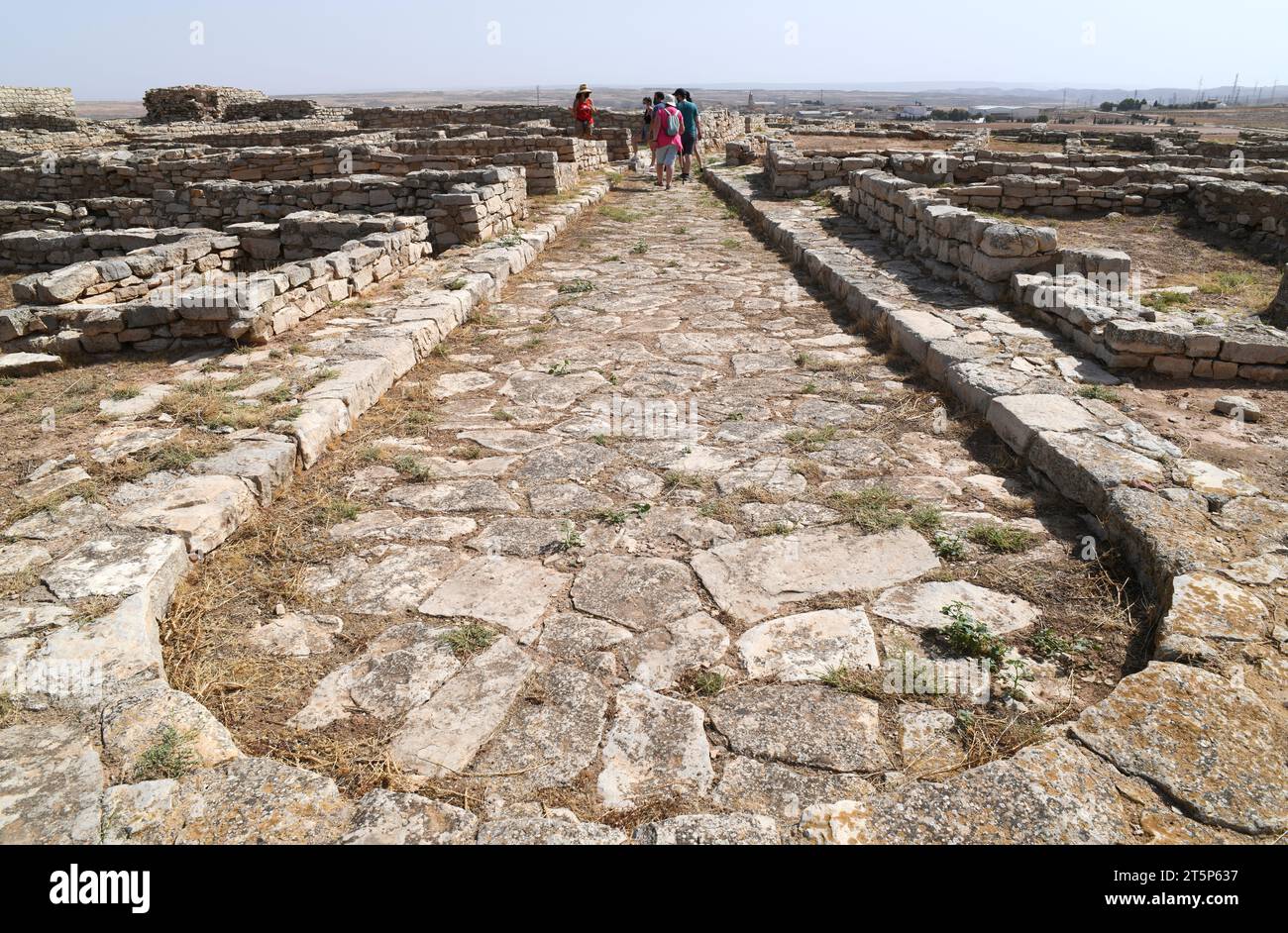 Azaila, Poblado Ibero del Cabezo de Alcala (Monumento Historico-Artistico).Fin de rue.Bajo Martin, Teruel, Aragon, Espagne. Banque D'Images