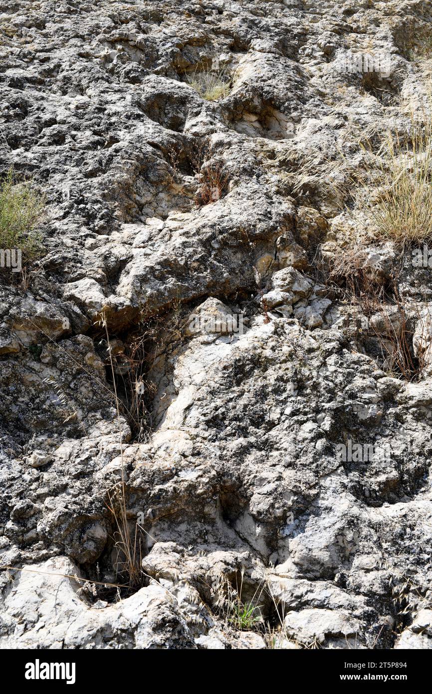 Ichnite ou trace fossile de sauropoda. Arino, Teruel, Aragon, Espagne. Banque D'Images