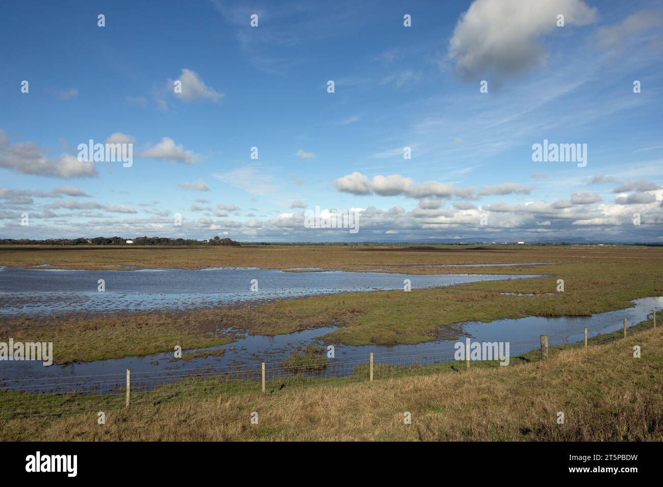 Hesketh Out Marsh sur l'estuaire Ribble avec une vue lointaine sur le Bleasdale Fells Lancashire Angleterre Banque D'Images