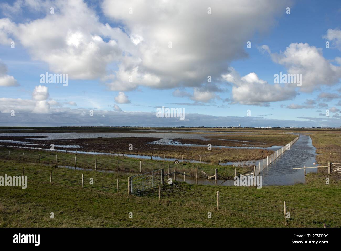 Salt Marsh la réserve naturelle nationale de l'estuaire de Ribble près de Hesketh Bank en face de Lytham sur la côte Fylde Lancashire Angleterre Banque D'Images