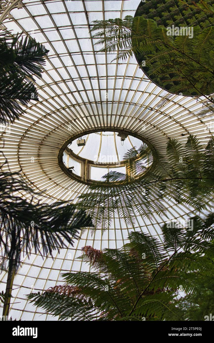 Kibble Palace dans les jardins botaniques de Glasgow. Photo prise du dôme de verre. Photo prise en octobre 2023 Banque D'Images