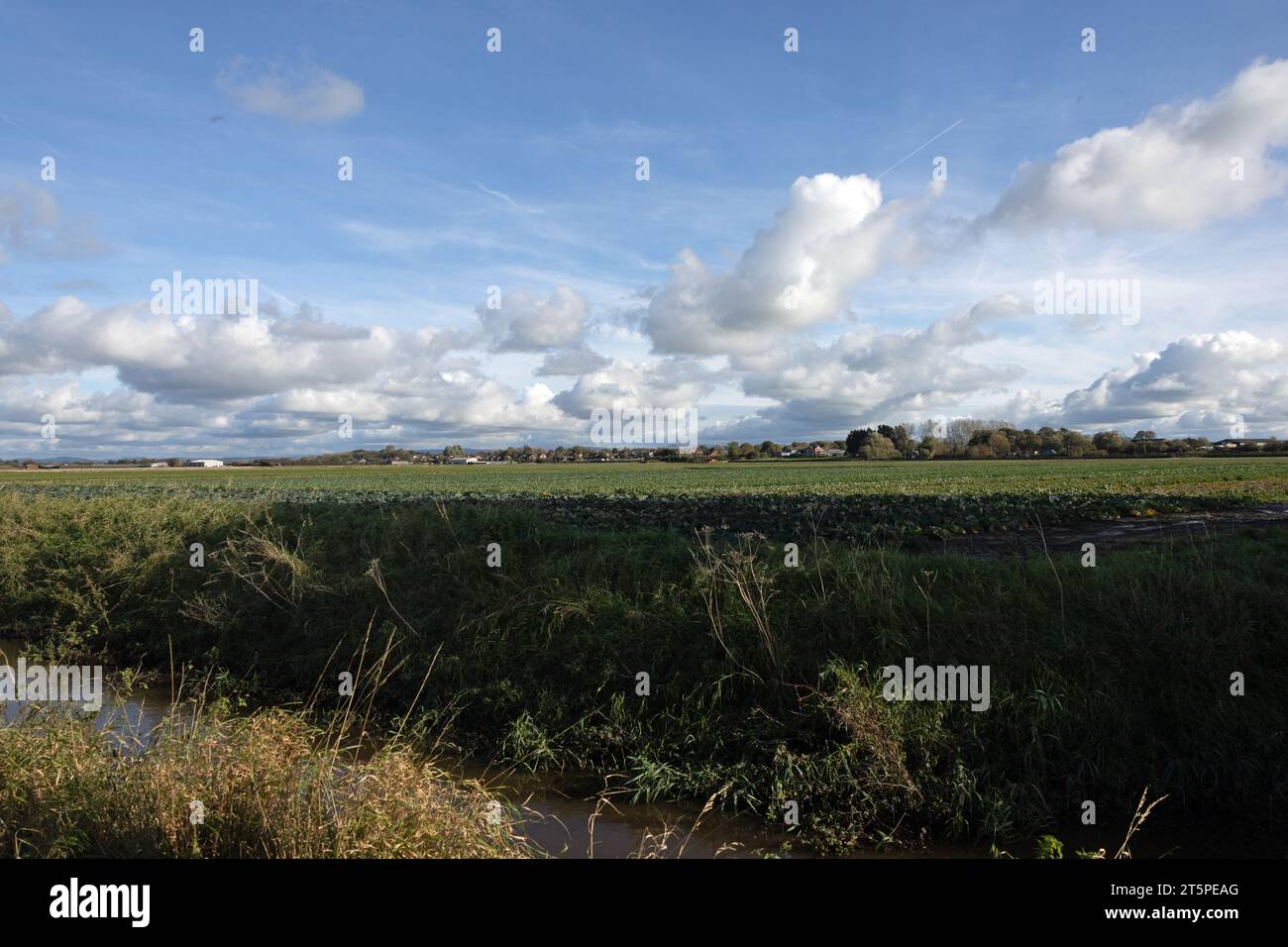 Champs gorgés d'eau sur des terres agricoles à Becconsall près de Southport Lancashire Angleterre Banque D'Images