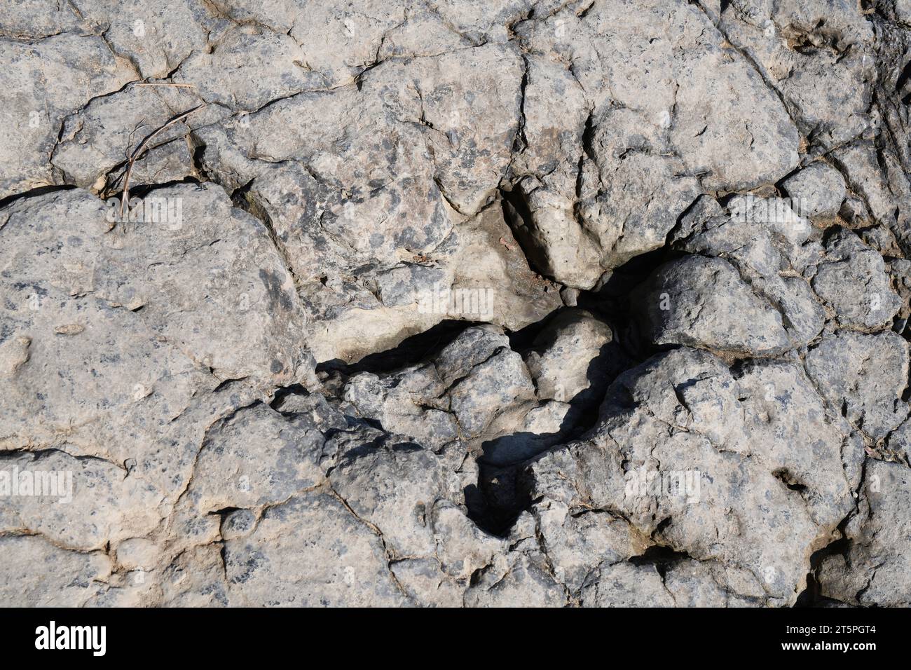 Ichnite ou piste fossile de dinosaures sur la plage de la Griega.Lastres, Colunga, Asturies, Espagne. Banque D'Images