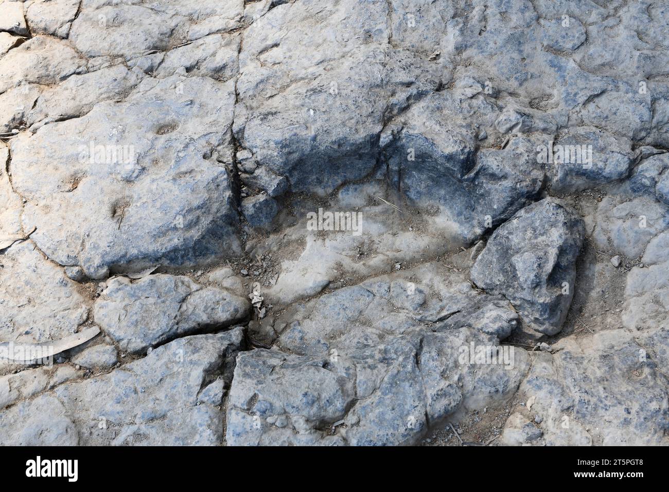 Ichnite ou piste fossile de dinosaures sur la plage de la Griega.Lastres, Colunga, Asturies, Espagne. Banque D'Images
