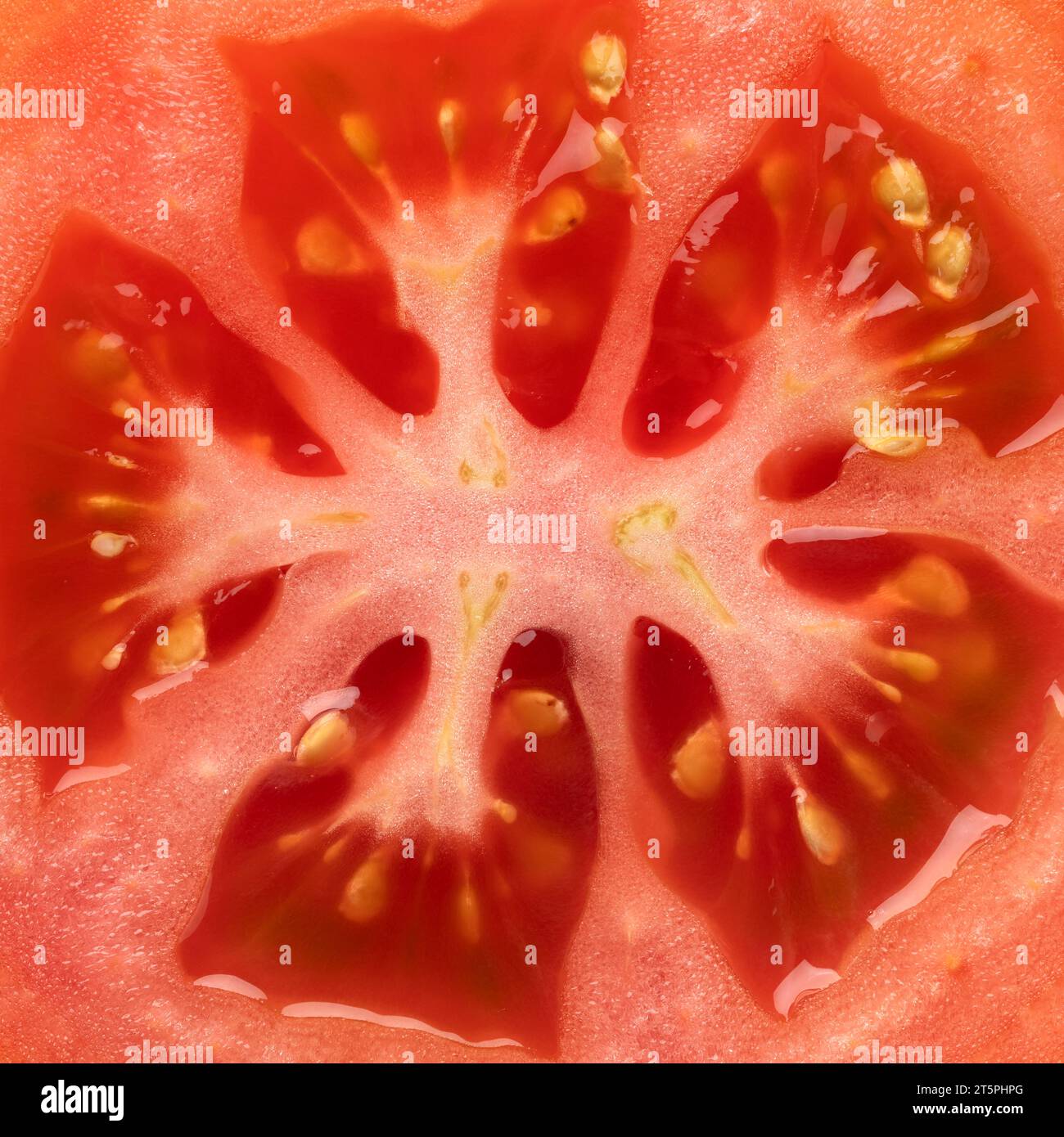 Intérieur d'une tomate rouge fraîche plein cadre gros plan comme arrière-plan Banque D'Images