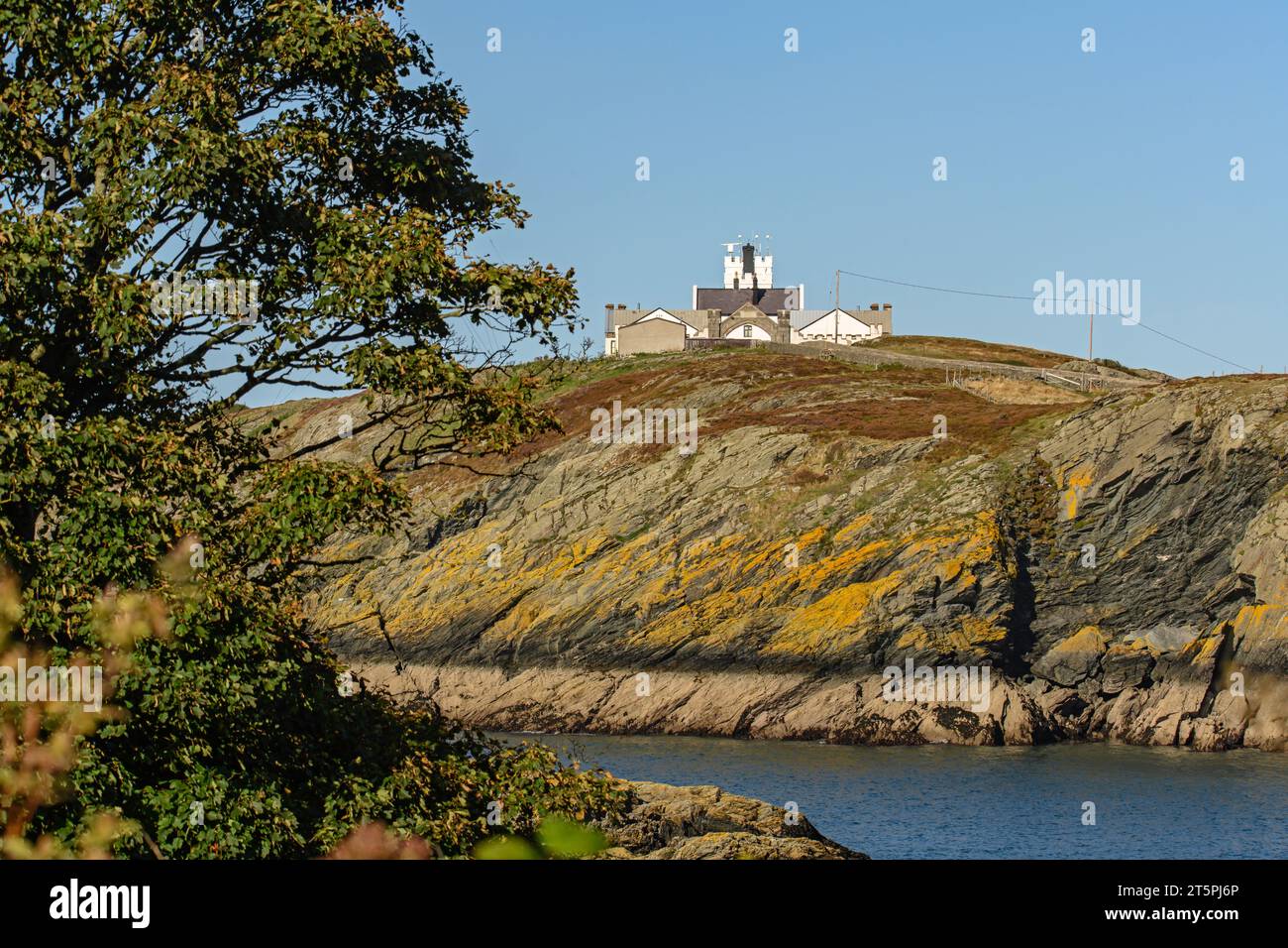 Phare de point Lynas Banque D'Images