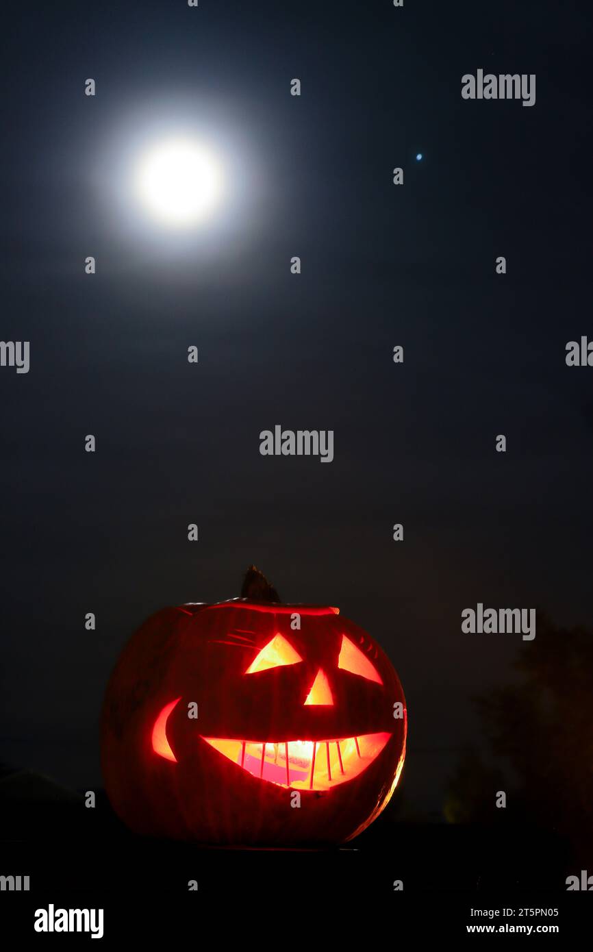 citrouille la nuit et la lune Banque D'Images