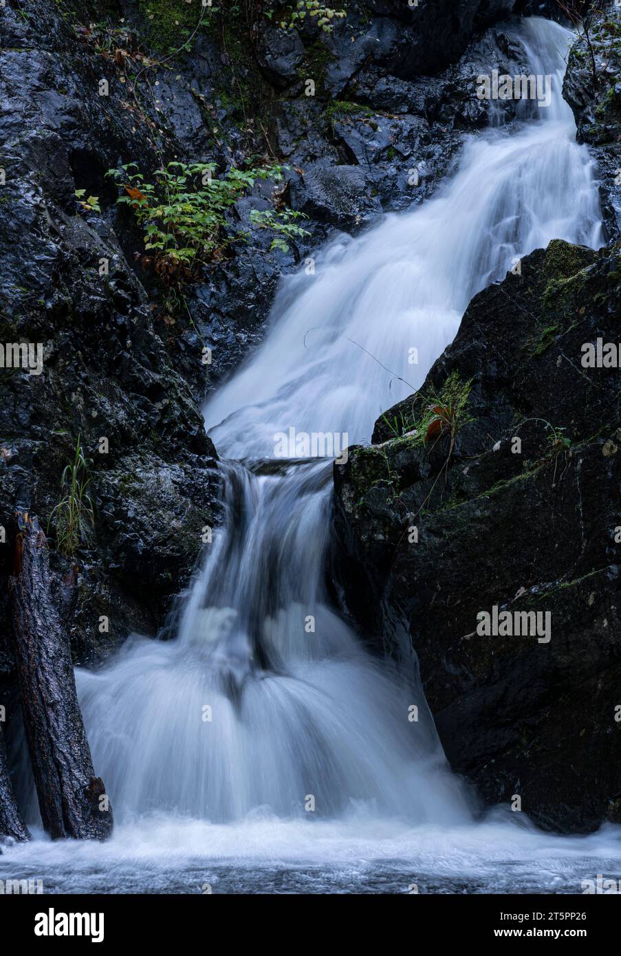 Chute d'eau sur Todd Creek dans le parc provincial Sooke Potholes en Colombie-Britannique, Canada. Banque D'Images