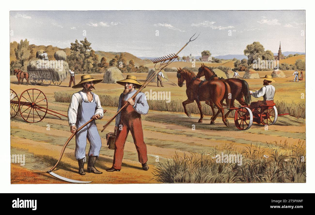 Vieille illustration représentant les fermiers fenaison. Par auteur non identifié, publ. ca 1875 Banque D'Images