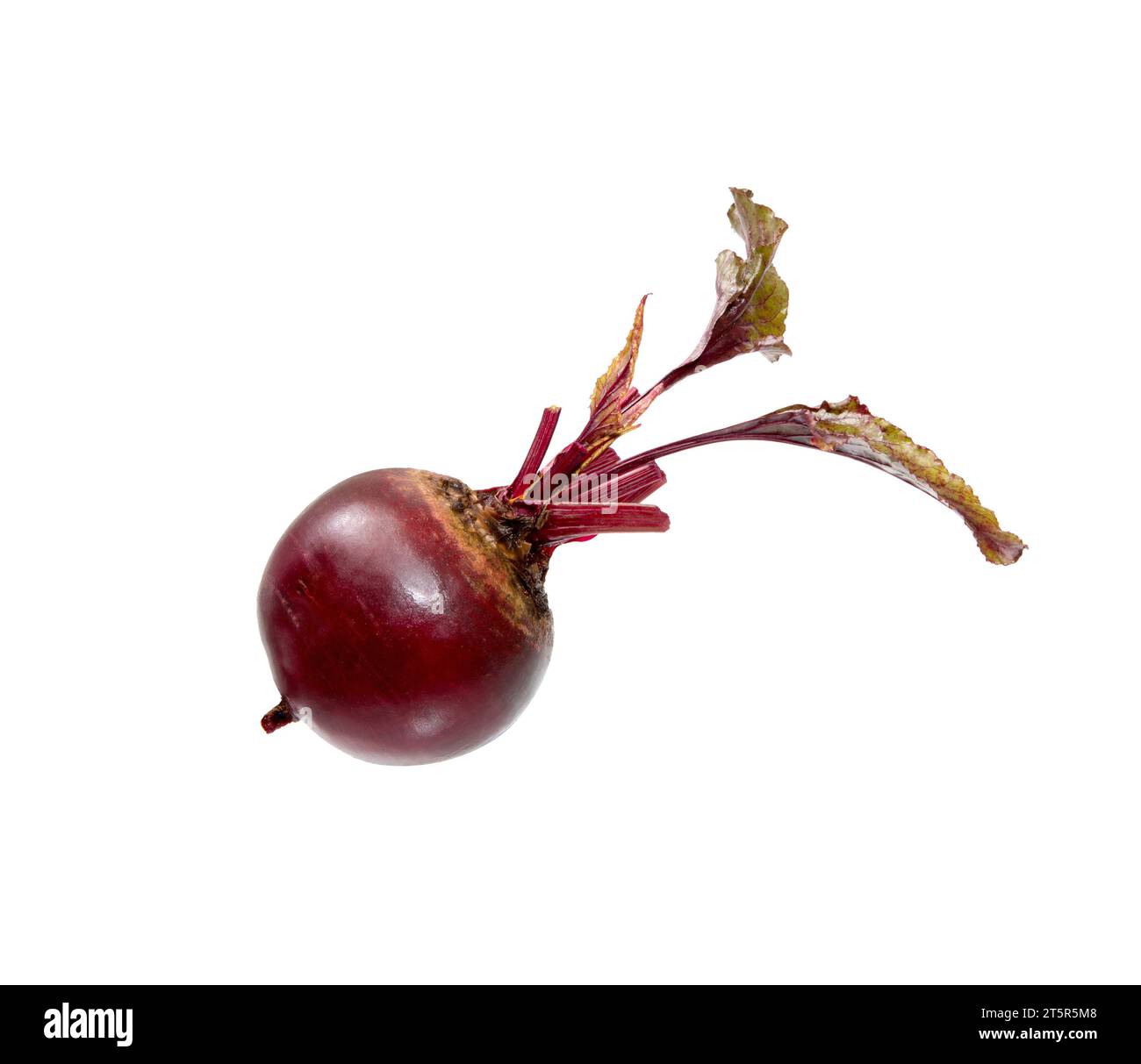 Betterave avec feuilles, betterave fraîche entière isolée sur fond blanc. Betterave rouge brute. Banque D'Images