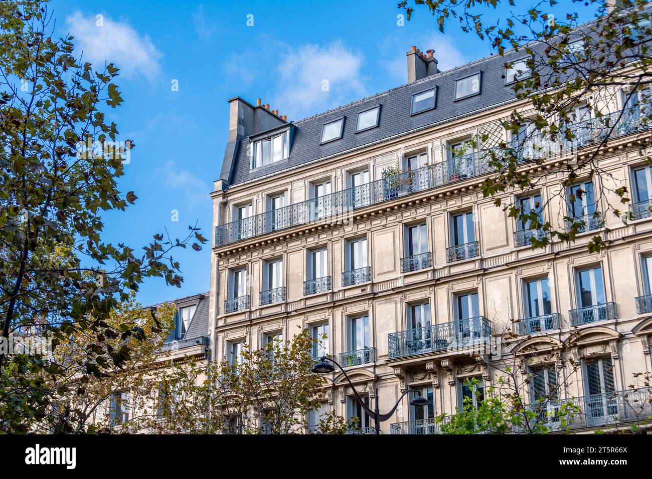 Façade d'un immeuble résidentiel de style classique à Paris situé sur une avenue bordée d'arbres. Concept de marché immobilier résidentiel pour les logements anciens Banque D'Images