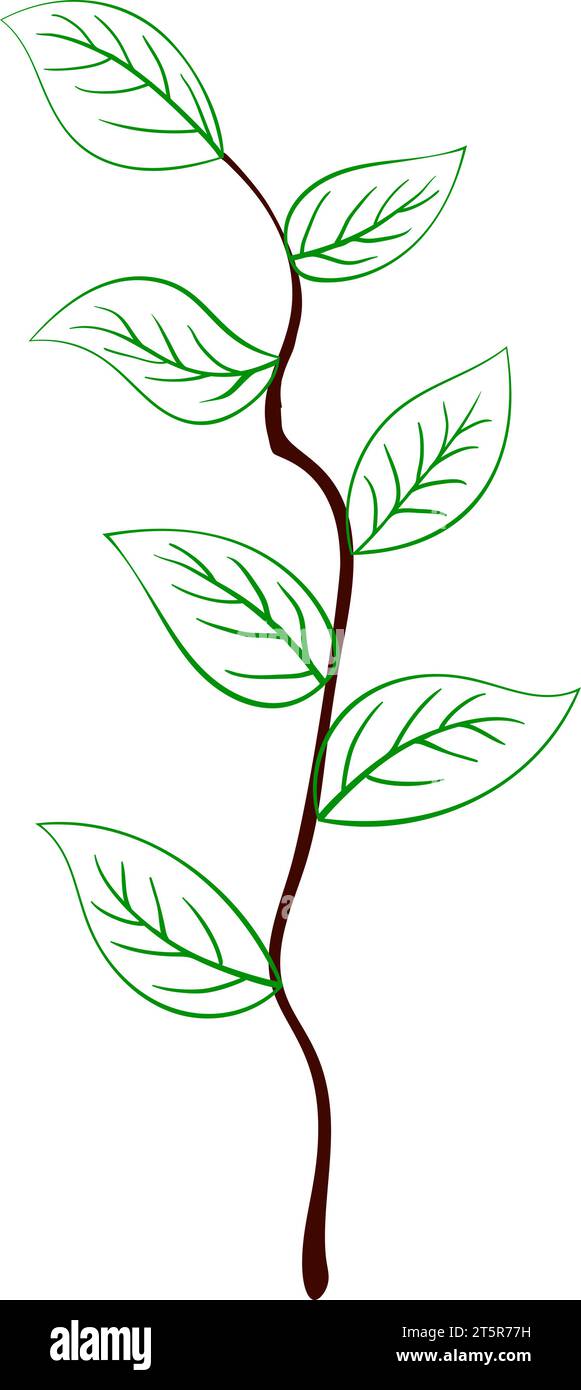 Branche de l'arbre. Convient pour différentes conceptions. Illustration vectorielle. Illustration de Vecteur