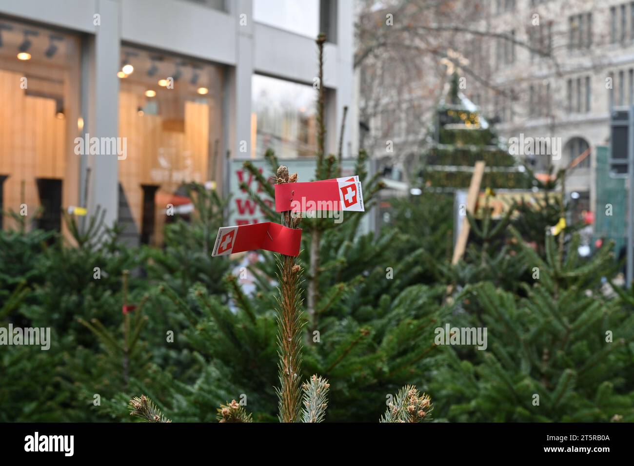 Vente de sapins de Noël sur trottoir dans le centre-ville. Banque D'Images