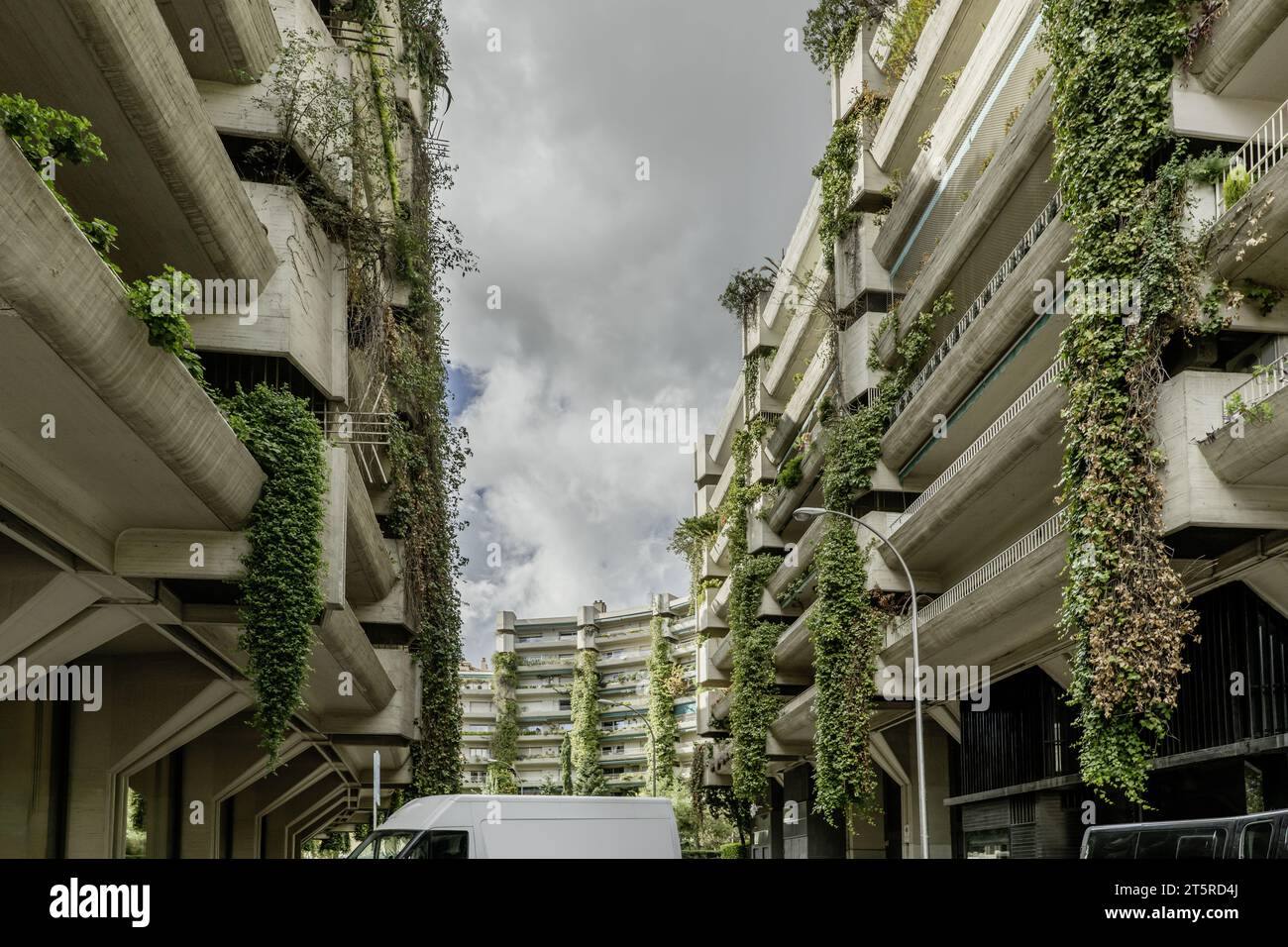 Vue frontale de la façade d'une urbanisation de bâtiments en béton avec de grandes vignes entre les balcons qui longent les façades sur une journée avec des nuages Banque D'Images