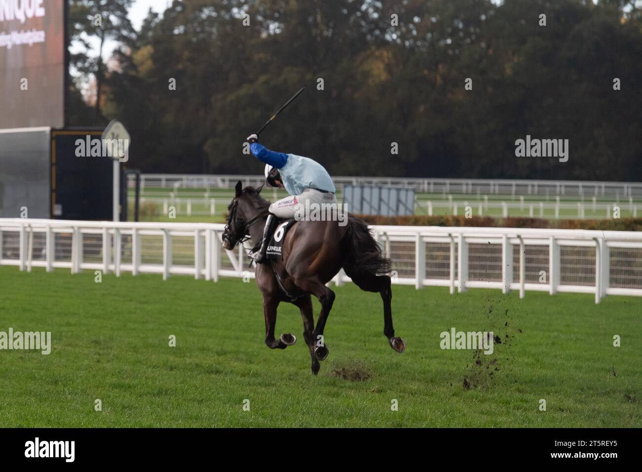 Ascot, Berkshire, Royaume-Uni. 4 novembre 2023. Cheval KnickerBockerGlory monté par le jockey Tristan Durrell remporte la Seat unique handicap Hurdle Race à l'hippodrome d'Ascot lors du Fireworks Spectacular Family Raceday. Propriétaire Chelsea Thoroughbreds - Knickerbocker. Entraîneur, Dan Skelton, Alcester. Crédit : Maureen McLean/Alamy Live News Banque D'Images