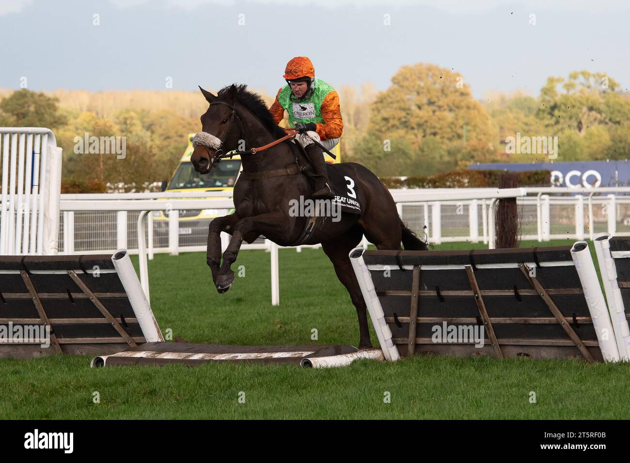 Ascot, Berkshire, Royaume-Uni. 4 novembre 2023. Horse Teddy Blue monté par le jockey Jamie Moore dans la course de haies Seat unique handicap à l'hippodrome d'Ascot au Fireworks Spectacular Family Raceday. Crédit : Maureen McLean/Alamy Live News Banque D'Images