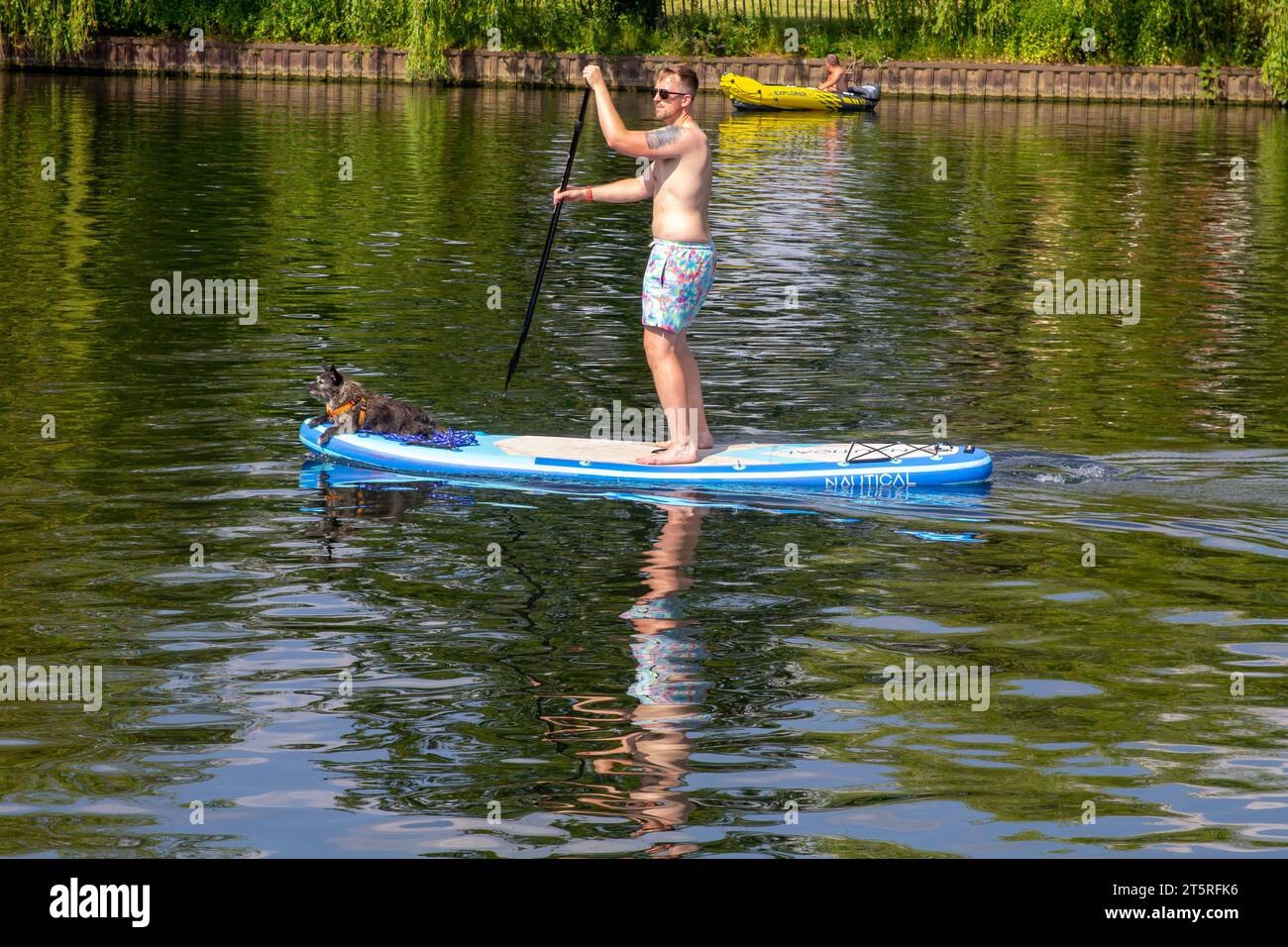 14 juin 2023 Un jeune mâle et son chien de compagnie sur un paddle board sur la Tamise à Cookham Village dans le Berkshire Angleterre par un chaud après-midi d'été Banque D'Images