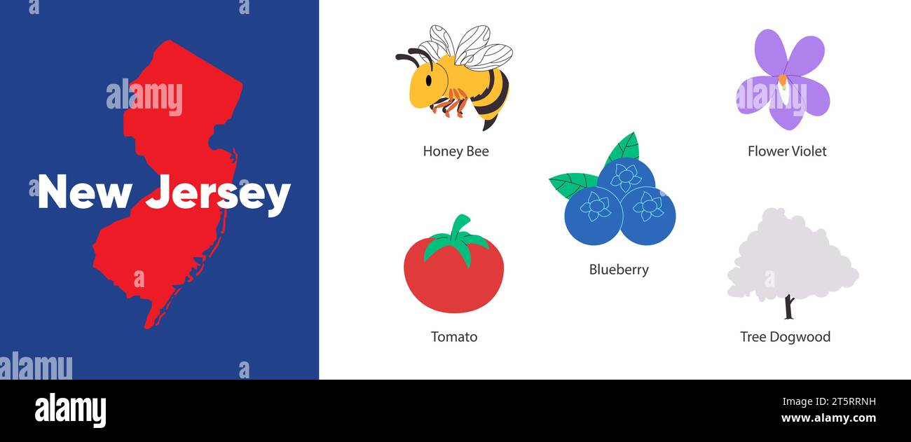 États du New Jersey avec icône de symbole du nord Highbush bleuet tomate violette fleur de cornouille et illustration d'abeille de miel Illustration de Vecteur