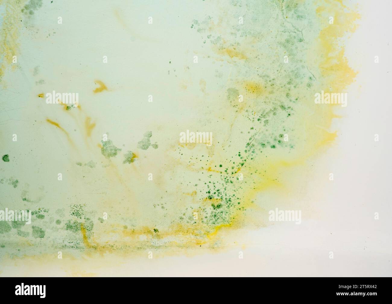 Photo du plafond endommagé avec du badigeonnage pelé, des taches et de la moisissure. Promotion des services d'entrepreneur de restauration. Inondation par les voisins. Vue du dessous. Banque D'Images