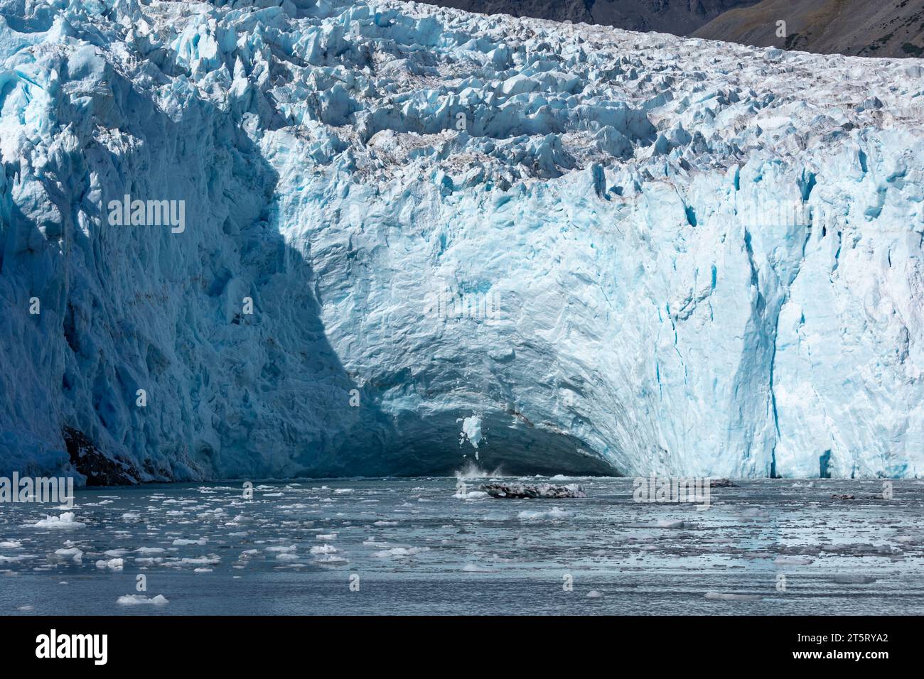 Glace bleue du glacier Aialik vêlant dans les eaux océaniques du golfe d'Alaska Banque D'Images