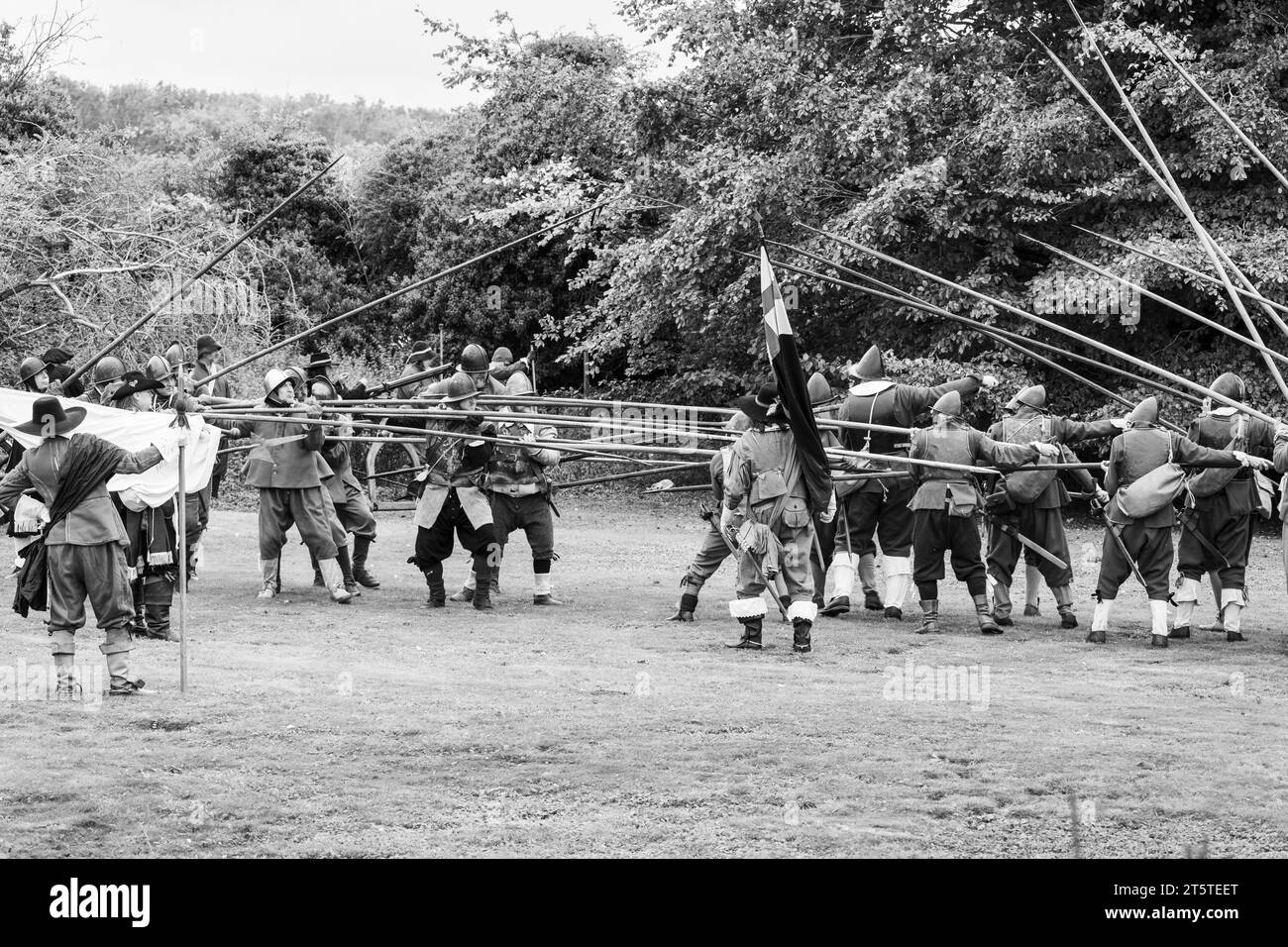 Des colonnes de pikemen royalistes et parlementaires opposées se réunissent au siège de Basing House, reconstitution de la guerre civile anglaise, 16.09.23 Basingstoke Banque D'Images