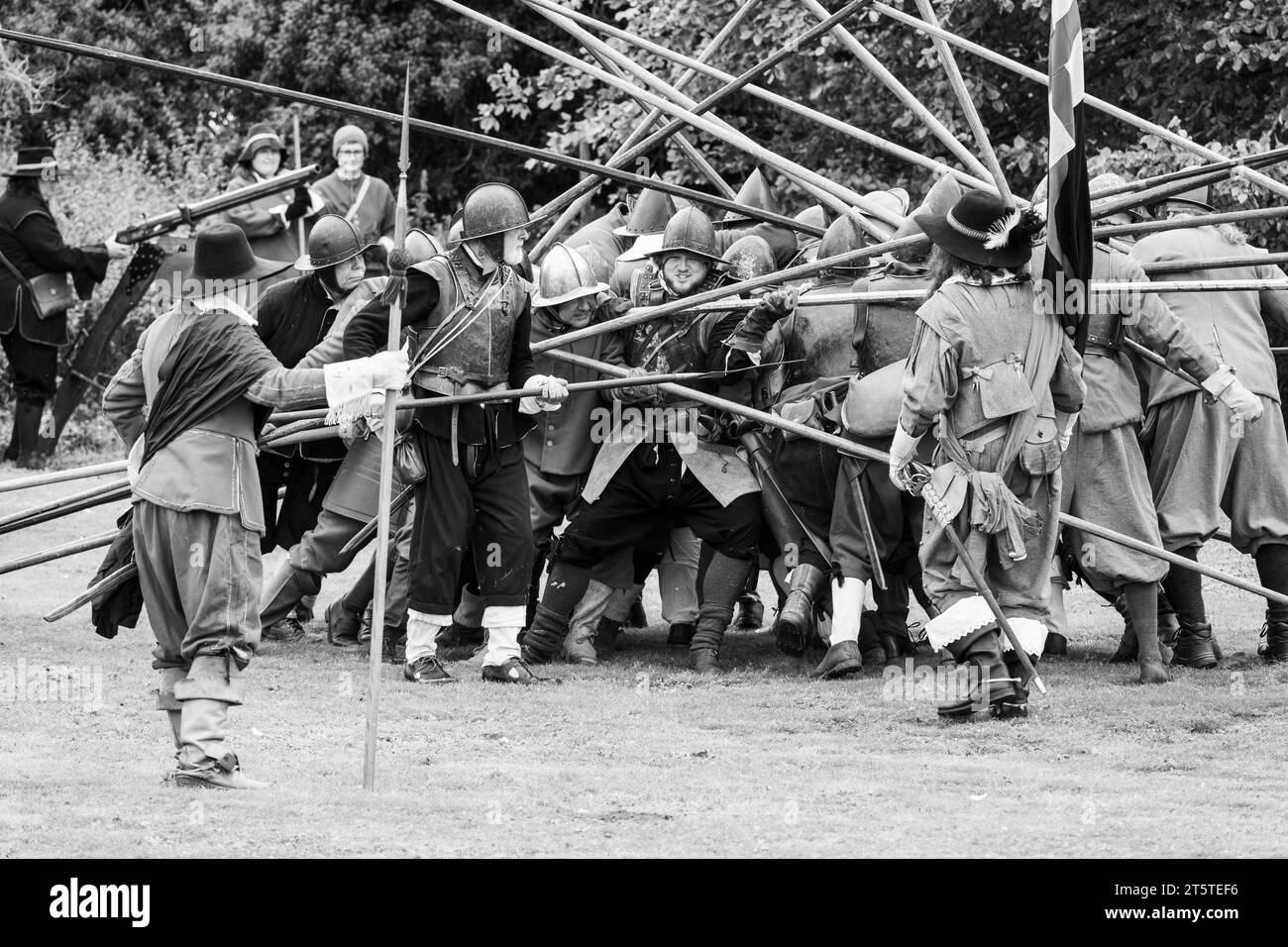 Poussée de brochet où deux colonnes opposées de piquistes se rencontrent et se bloquent en position. Reconstitution de la guerre civile anglaise, siège de Basing House 16.09.23 Banque D'Images