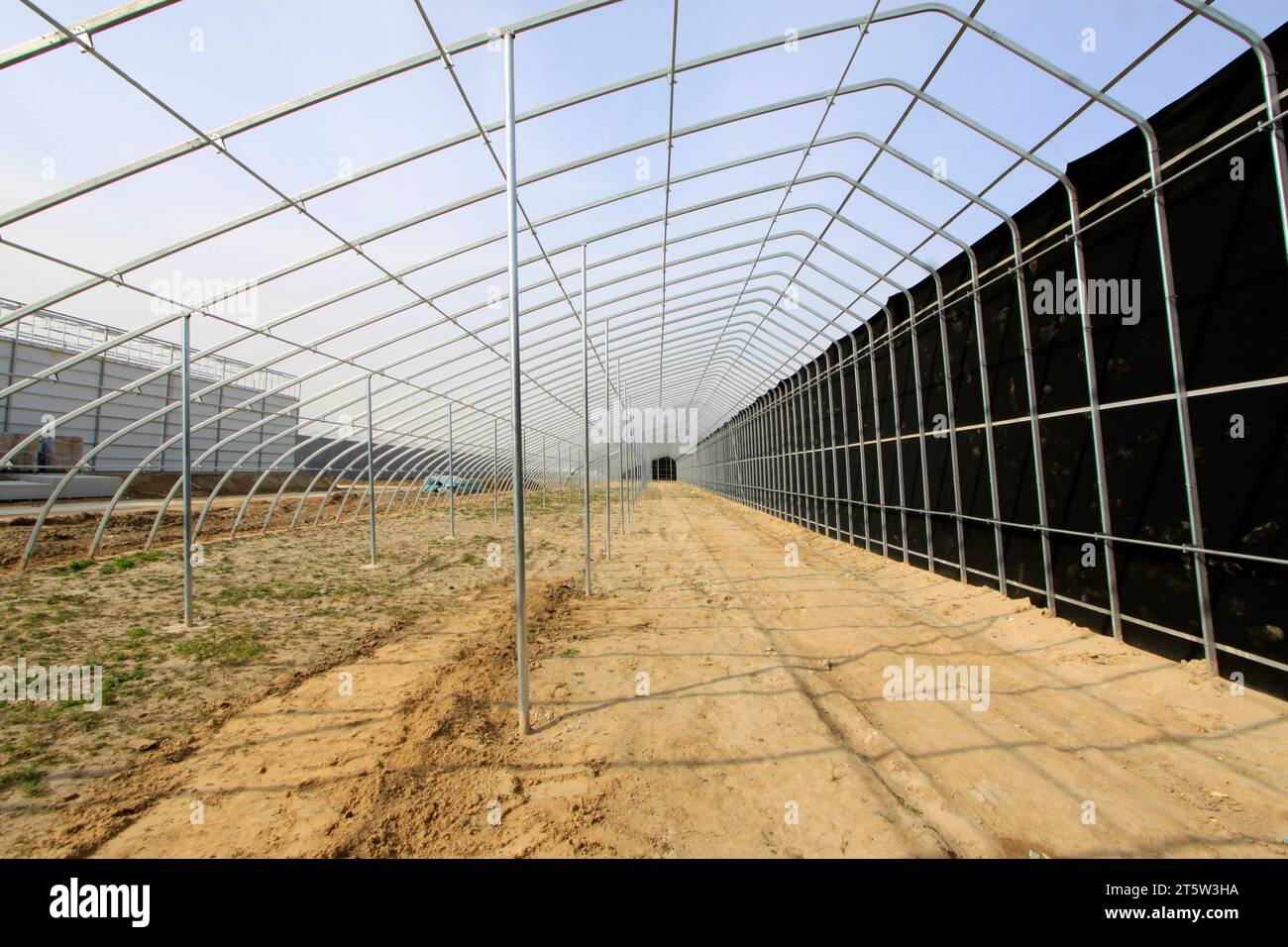 Cadre en acier pour serre Banque D'Images