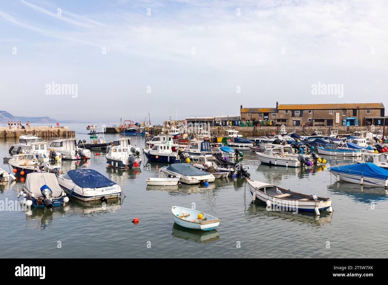 Lyme Regis Dorset ville sur la côte anglaise, port et bateaux yachts amarrés dans le port de Lyme Regis, Angleterre, Royaume-Uni, 2023 Banque D'Images