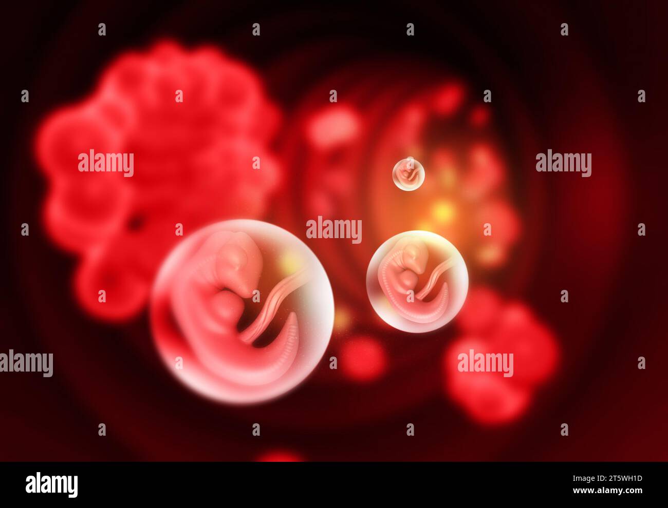 Foetus sur fond scientifique abstrait. illustration 3d. Banque D'Images