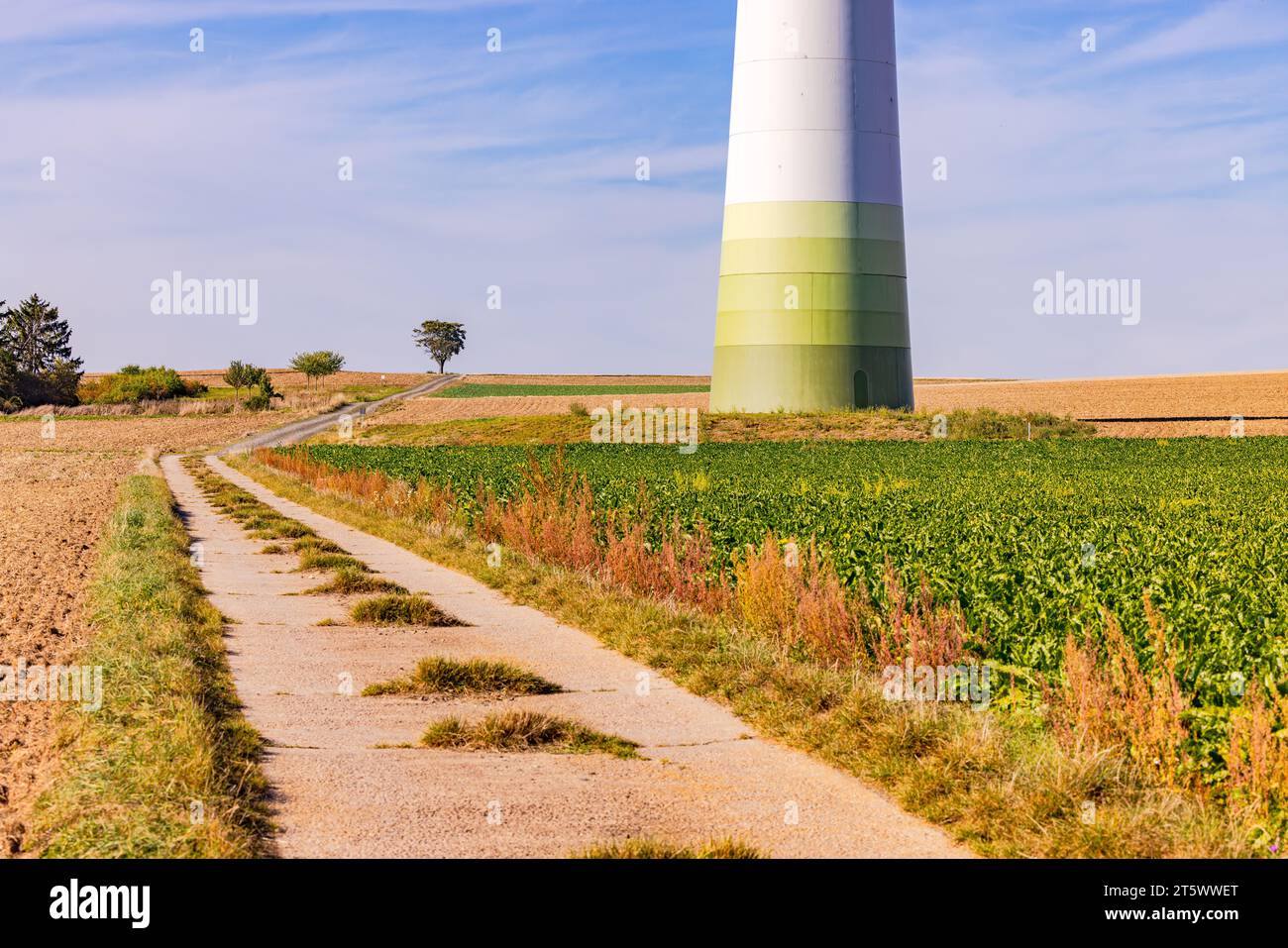 Énorme arbre ou mât d'une éolienne dans le paysage naturel entre chemin de terre et champs Banque D'Images