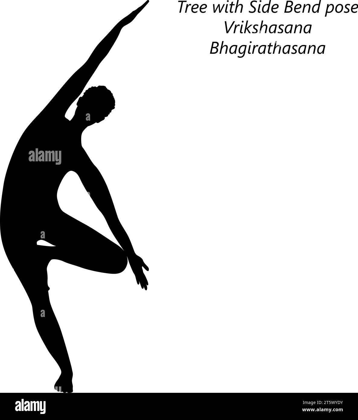 Silhouette de femme faisant du yoga Vrikshasana ou Bhagirathasana. Arbre avec une pose de pli latéral ou de pli d'arbre. Illustration vectorielle isolée. Illustration de Vecteur