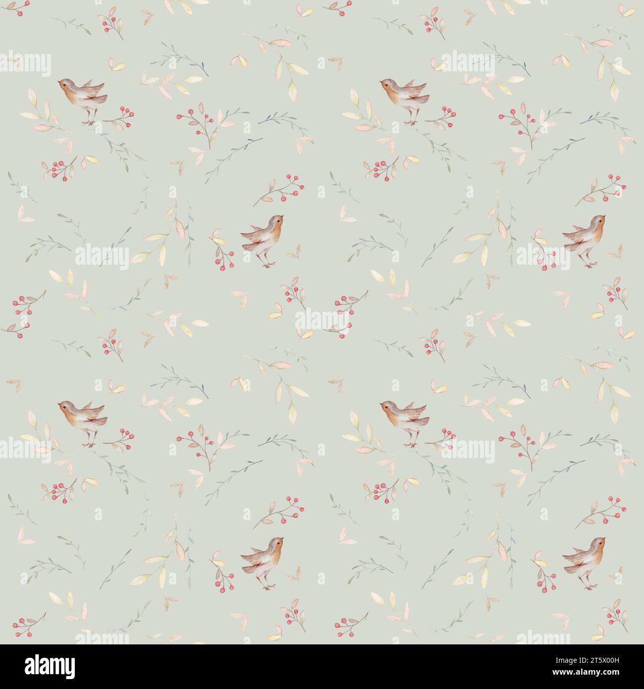 Robin Bird Pattern, Floral Bird Pattern, Boho Baby Aquarelle, Rustic Seamless Pattern, fond beige Banque D'Images