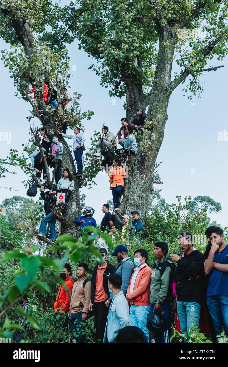 Katmandou, Népal - 5 novembre 2023 : les fans népalais de cricket Crazy regardent le match de qualification de la coupe du monde T20 entre Népal et Oman à Trib Banque D'Images