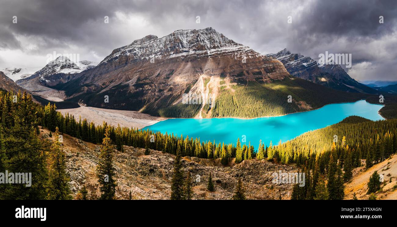 Vue panoramique du lac Peyto à l'automne/automne, Icefields Parkway, Banff, Alberta, Canada Banque D'Images