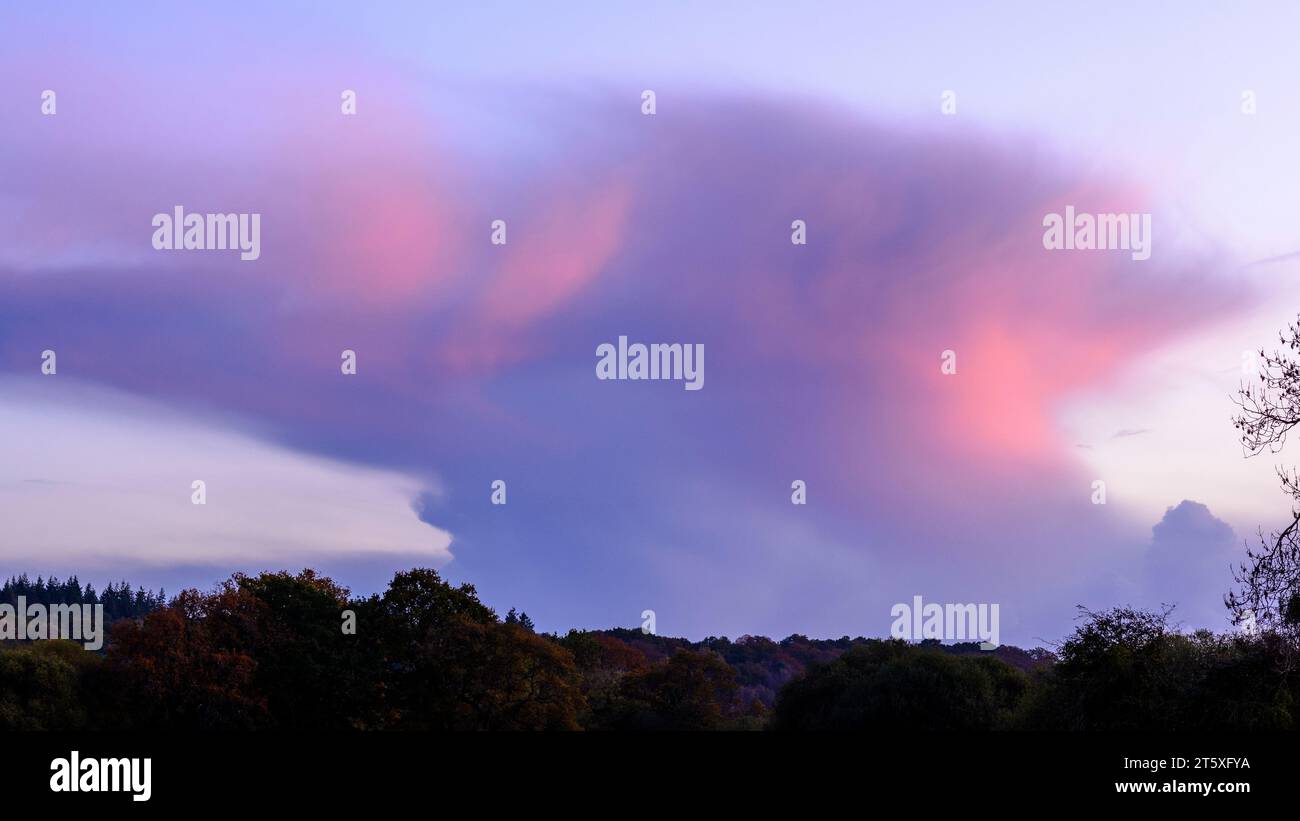 Nuage de Cumulonimbus avec des bords roses au crépuscule, Royaume-Uni Banque D'Images