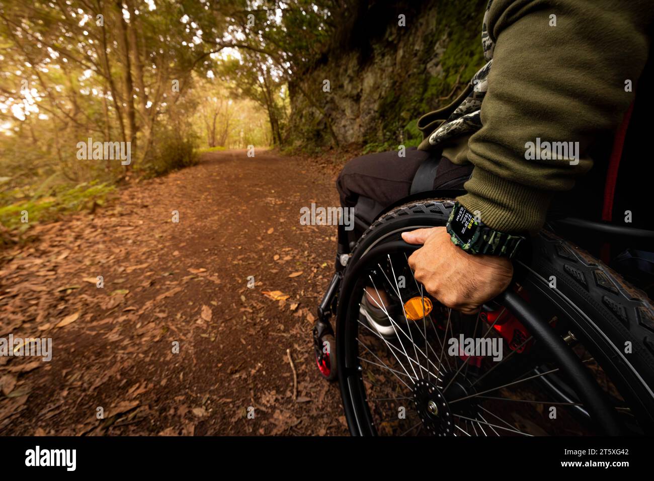 Jeune homme adulte en fauteuil roulant se promenant à travers la forêt Banque D'Images