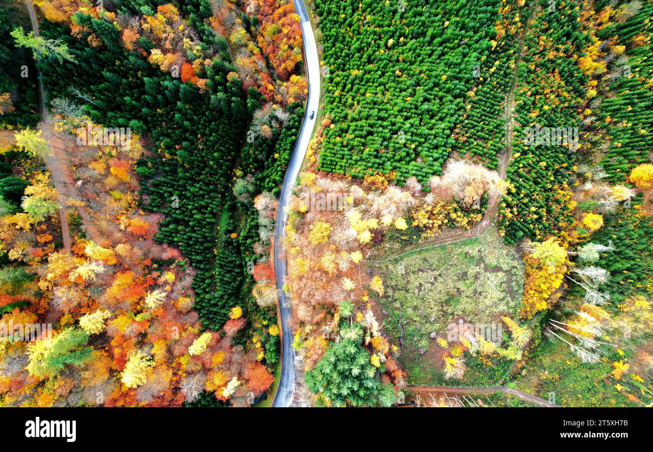 Paysage d'automne vue d'oiseau de vue aérienne Banque D'Images