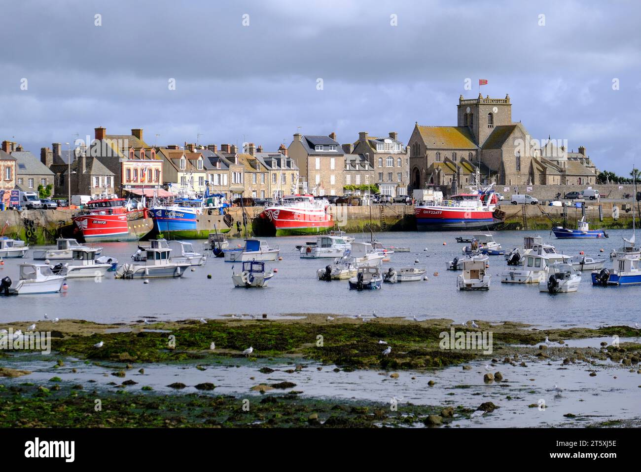 Frankreich, Barfleur, 27.08.2023 : Fischtrawler und kleine Fischerboote BEI Ebbe im Hafen von Barfleur auf der Halbinsel Cotentin an der franzoesischen Banque D'Images